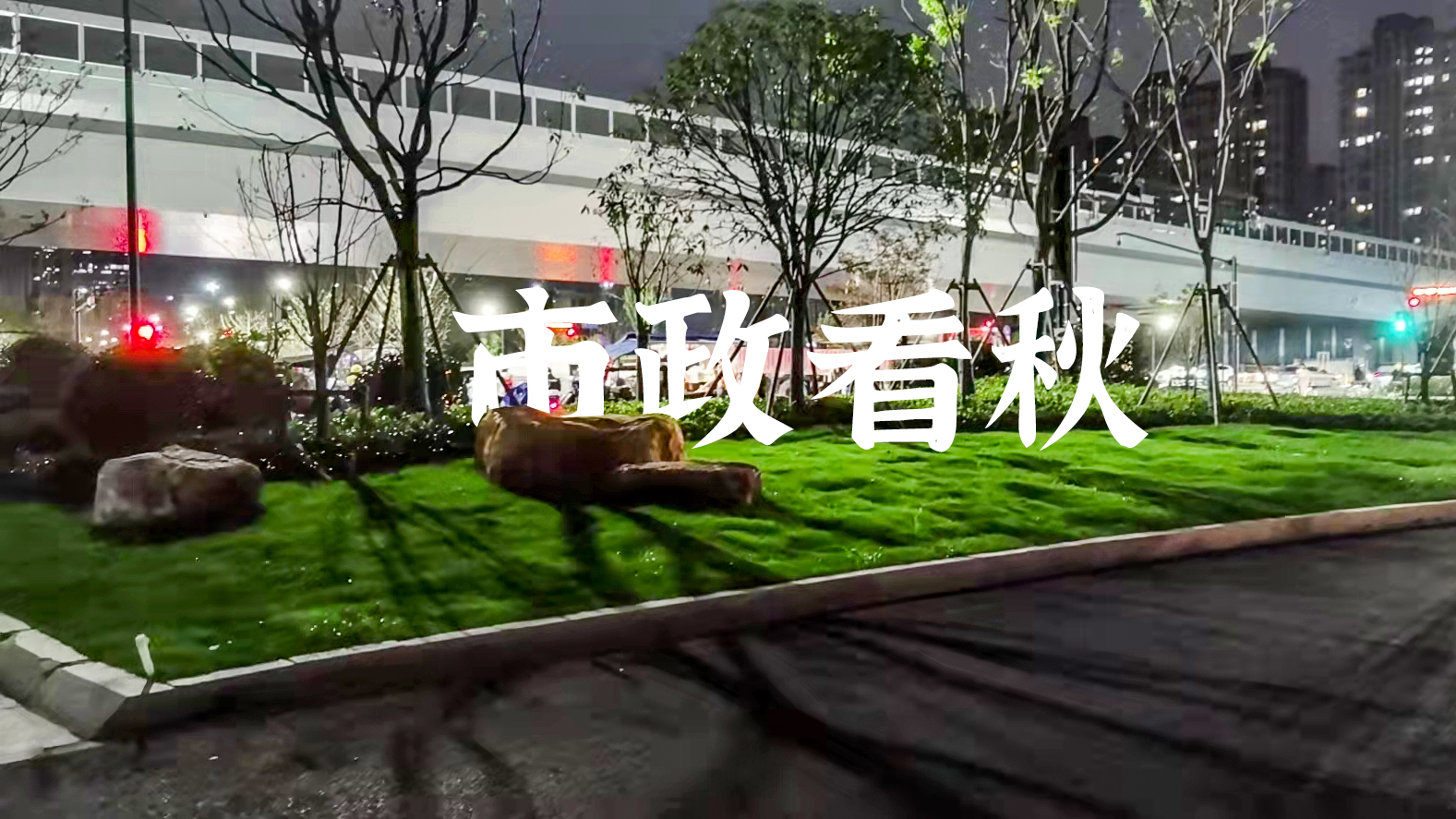 ���Ź����217��(�й���)����