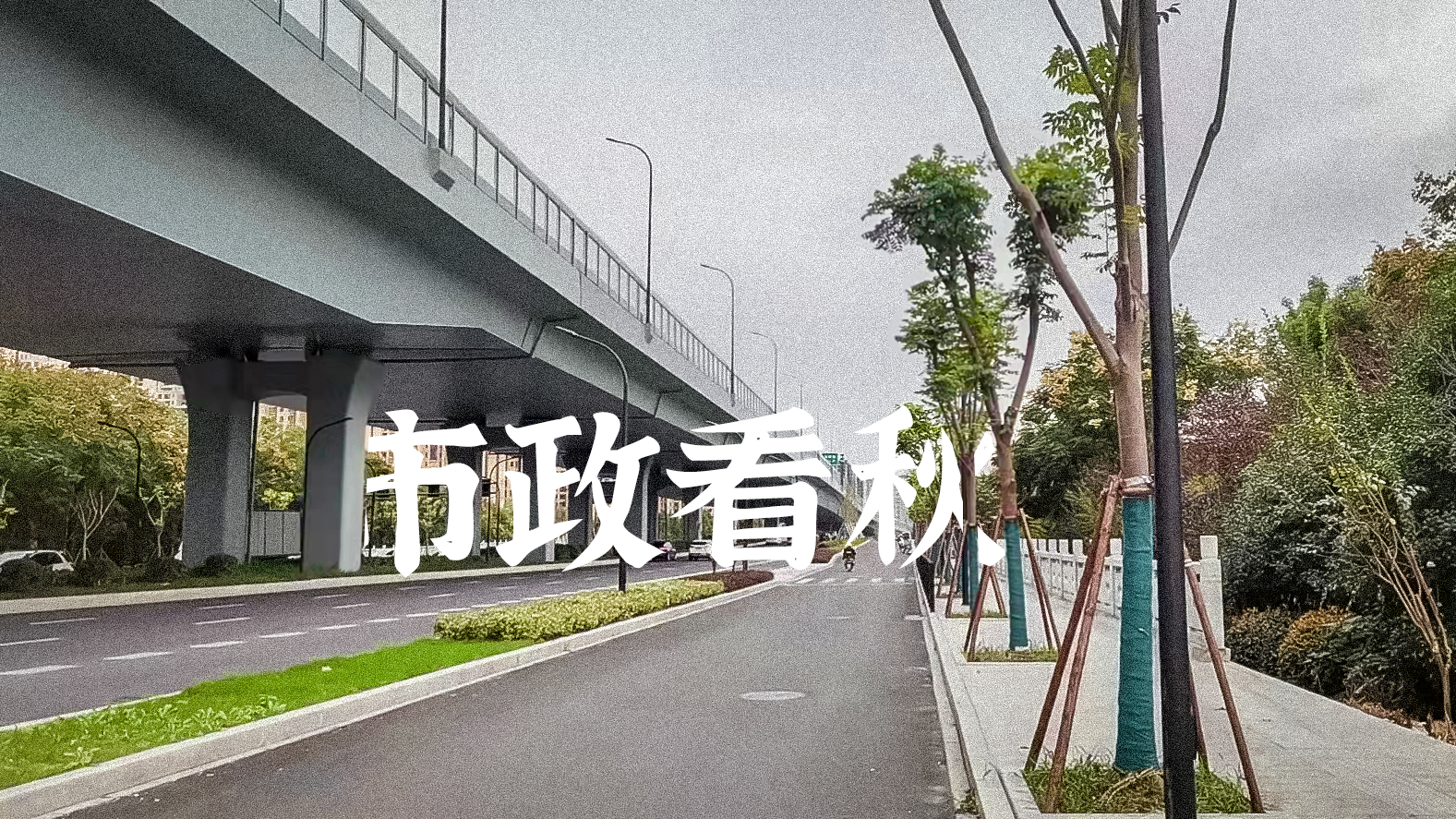 ���Ź����217��(�й���)����