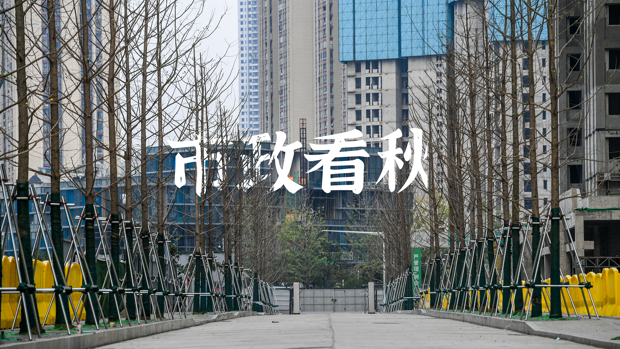 ���Ź����217��(�й���)����