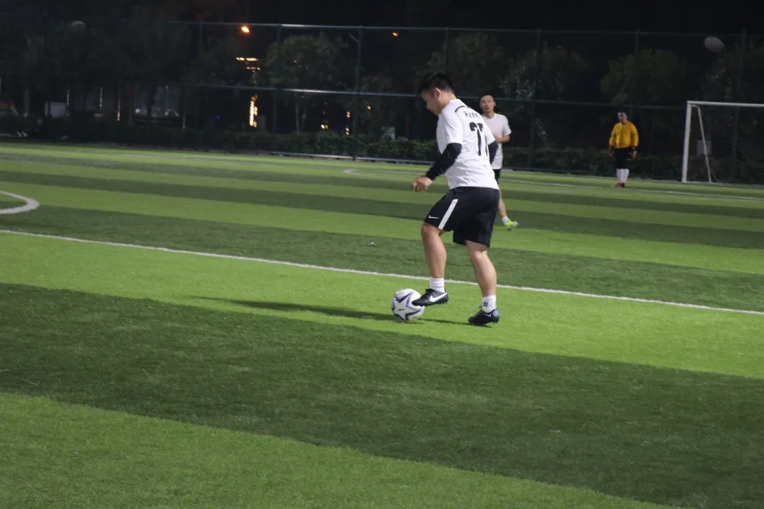 ���Ź����217��(�й���)����