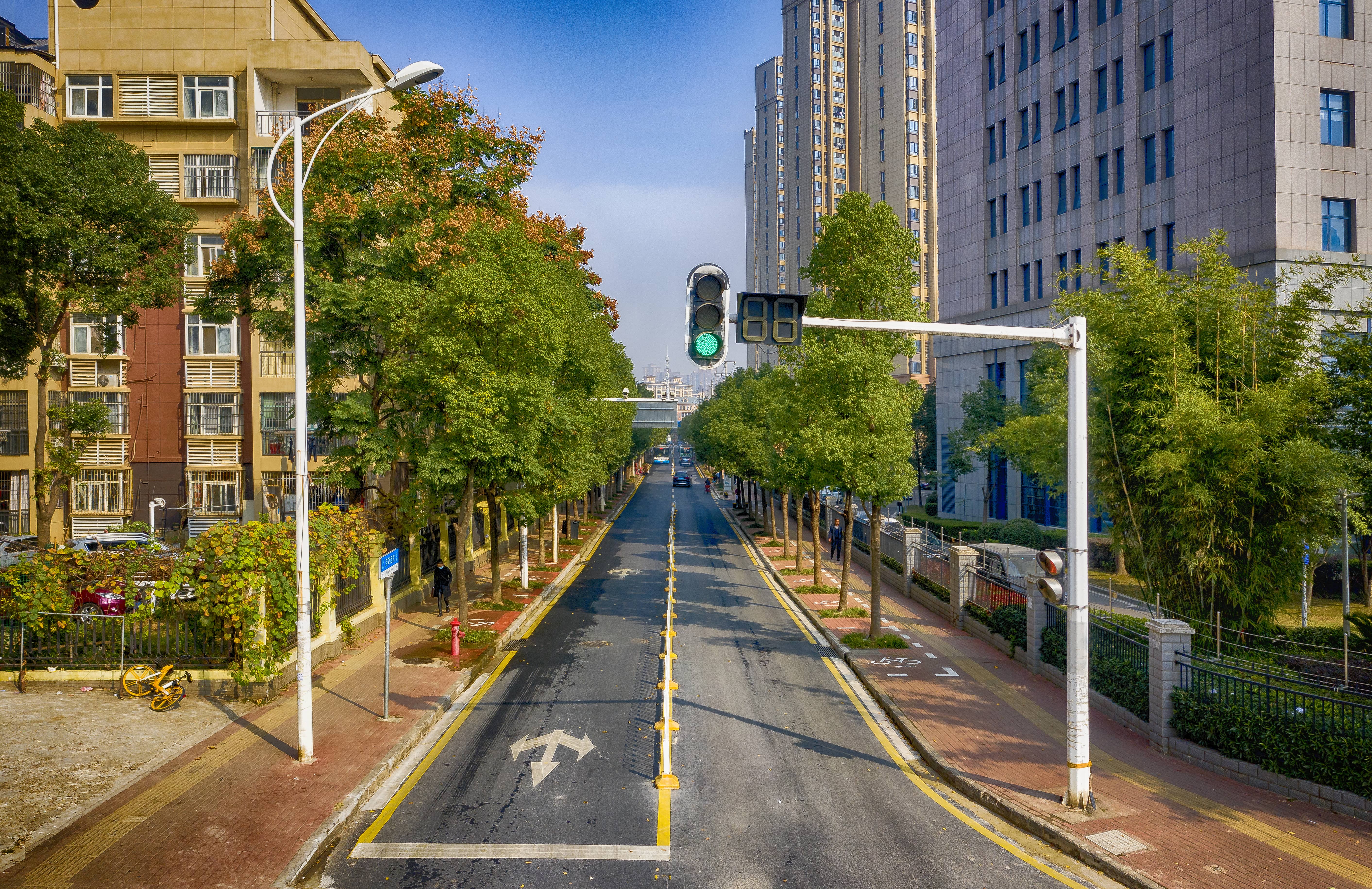 ���Ź����217��(�й���)����