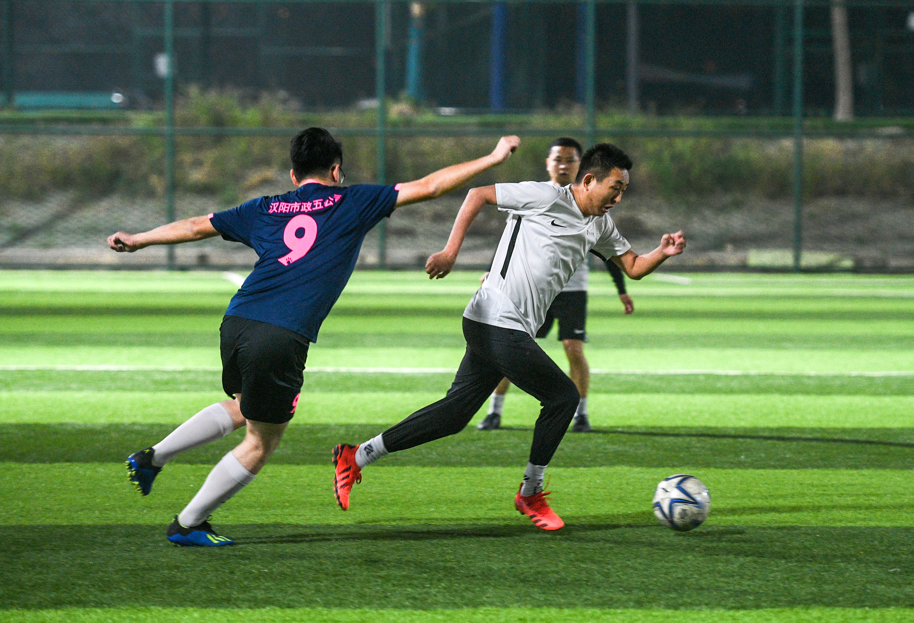 ���Ź����217��(�й���)����