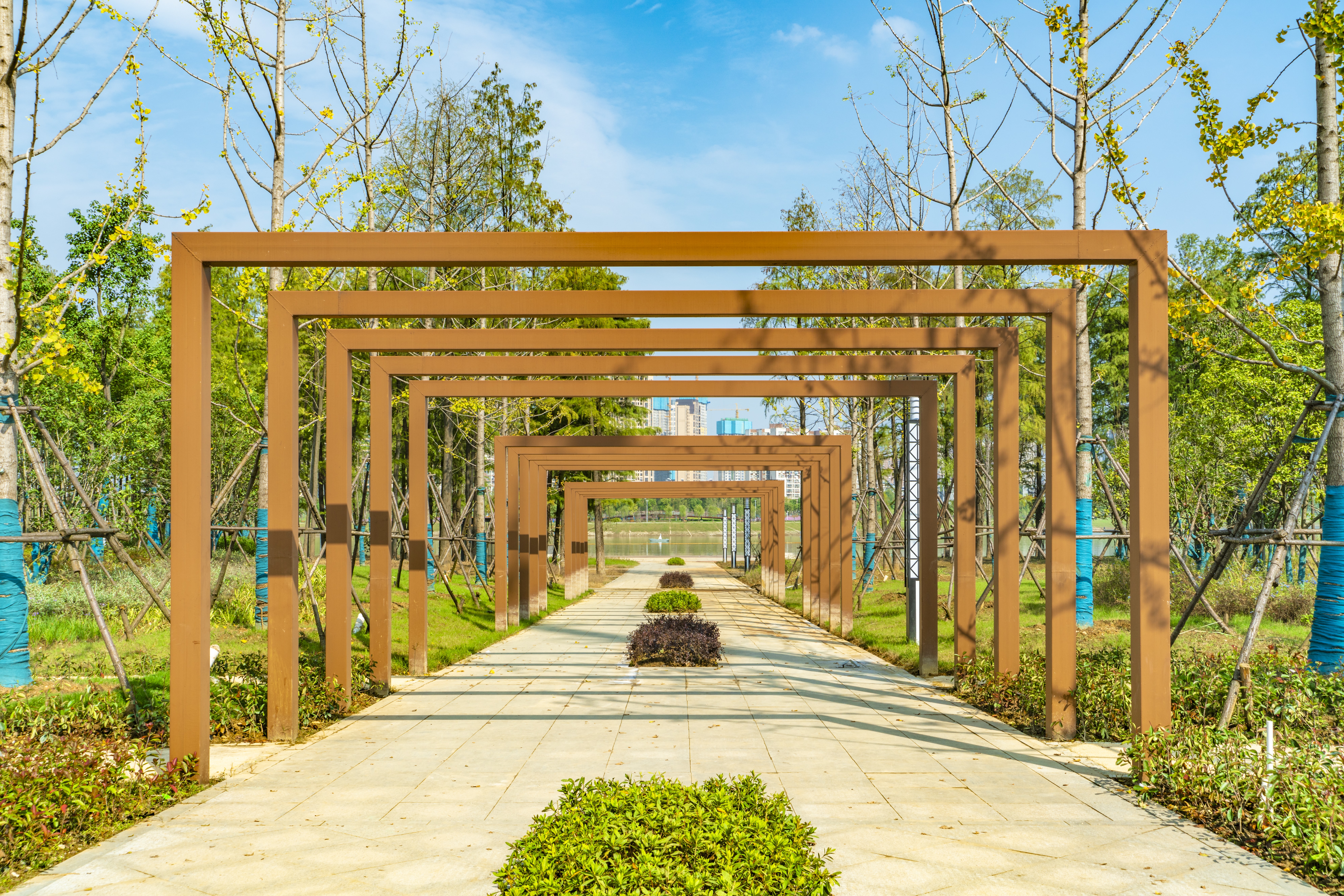 ���Ź����217��(�й���)����