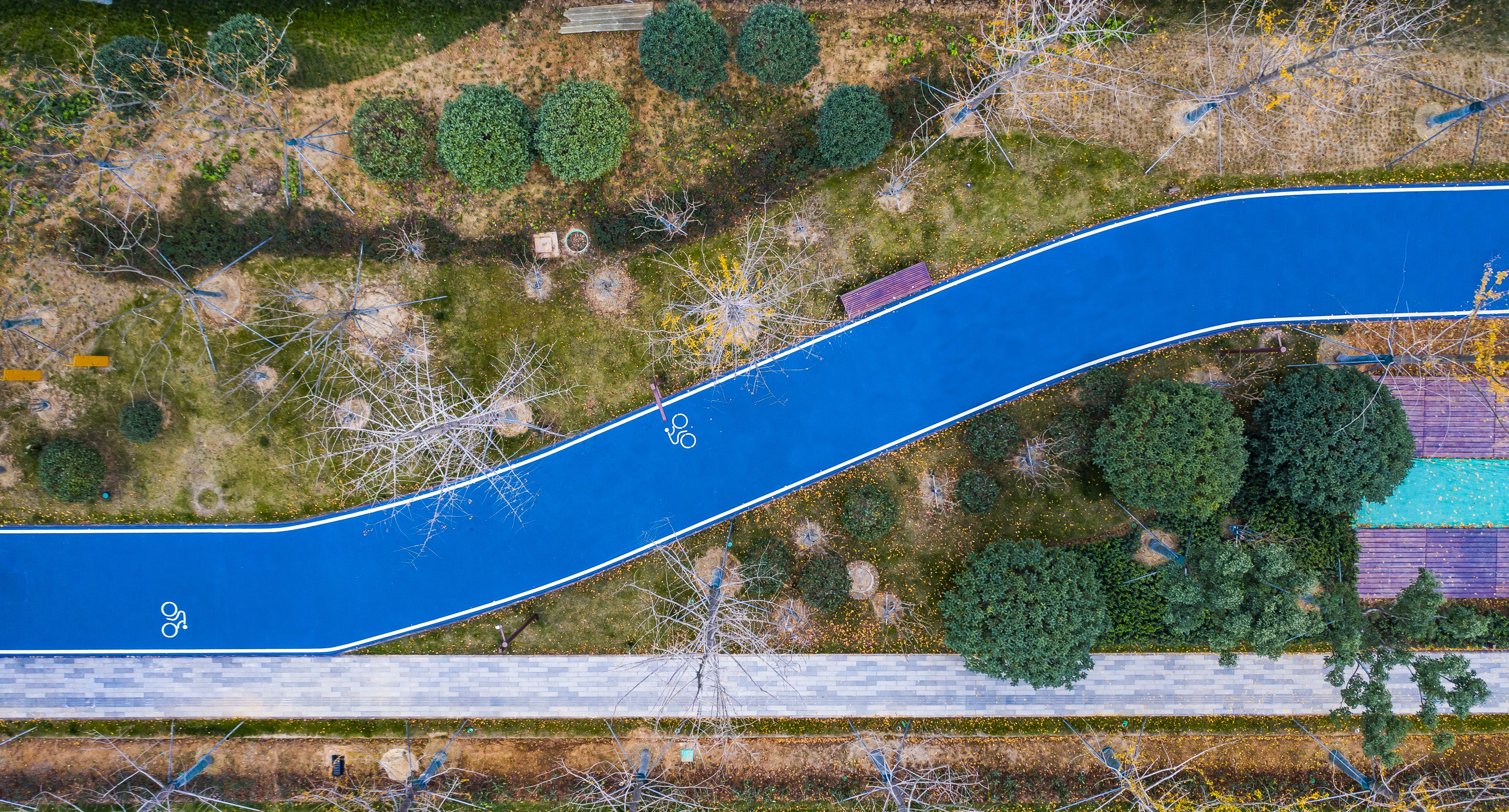 ���Ź����217��(�й���)����