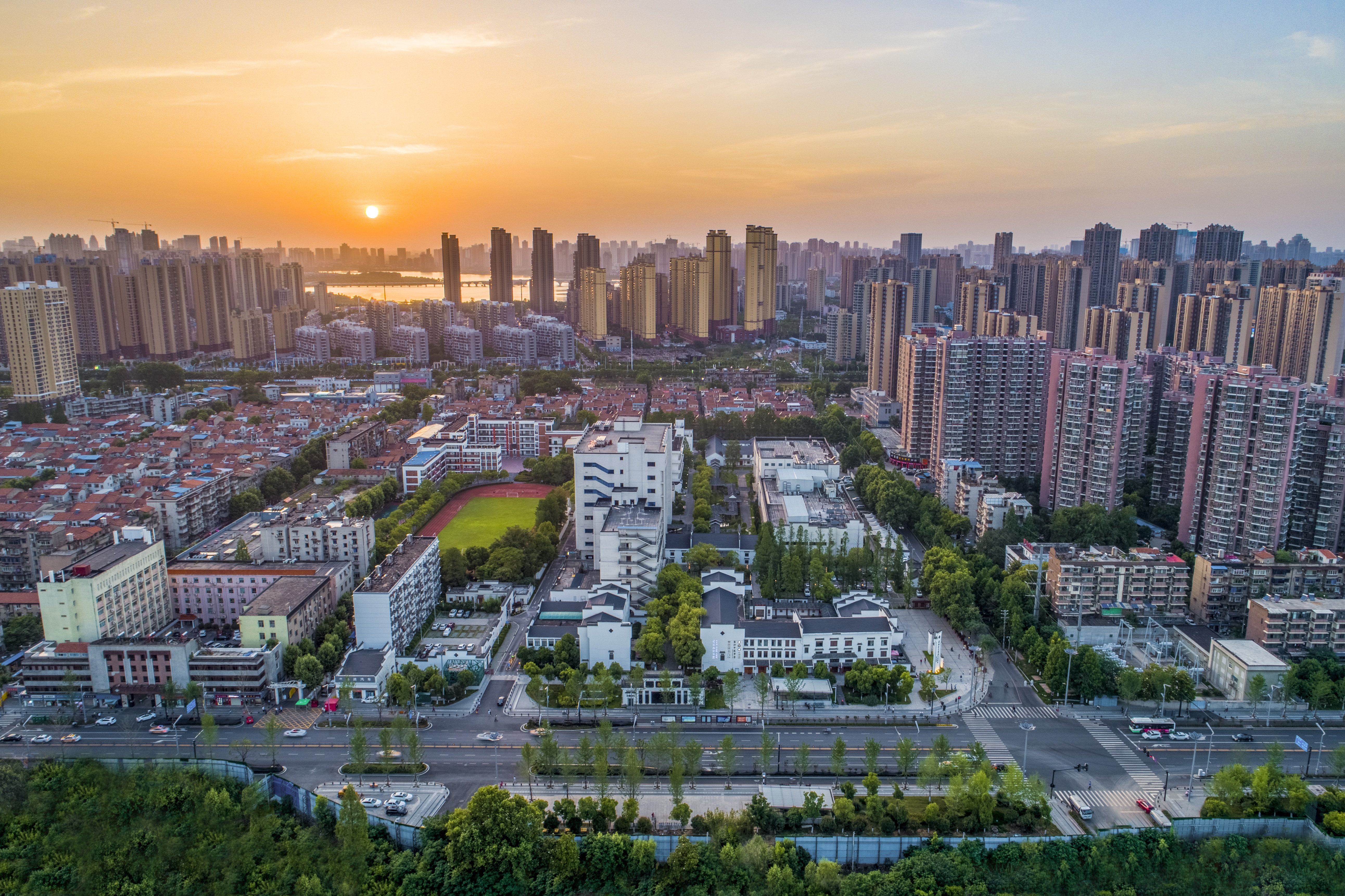 ���Ź����217��(�й���)����