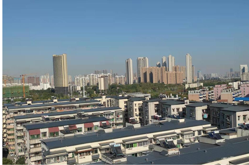 ���Ź����217��(�й���)����