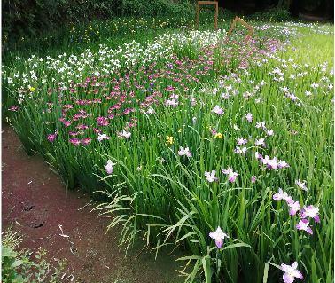 ���Ź����217��(�й���)����