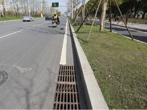 ���Ź����217��(�й���)����