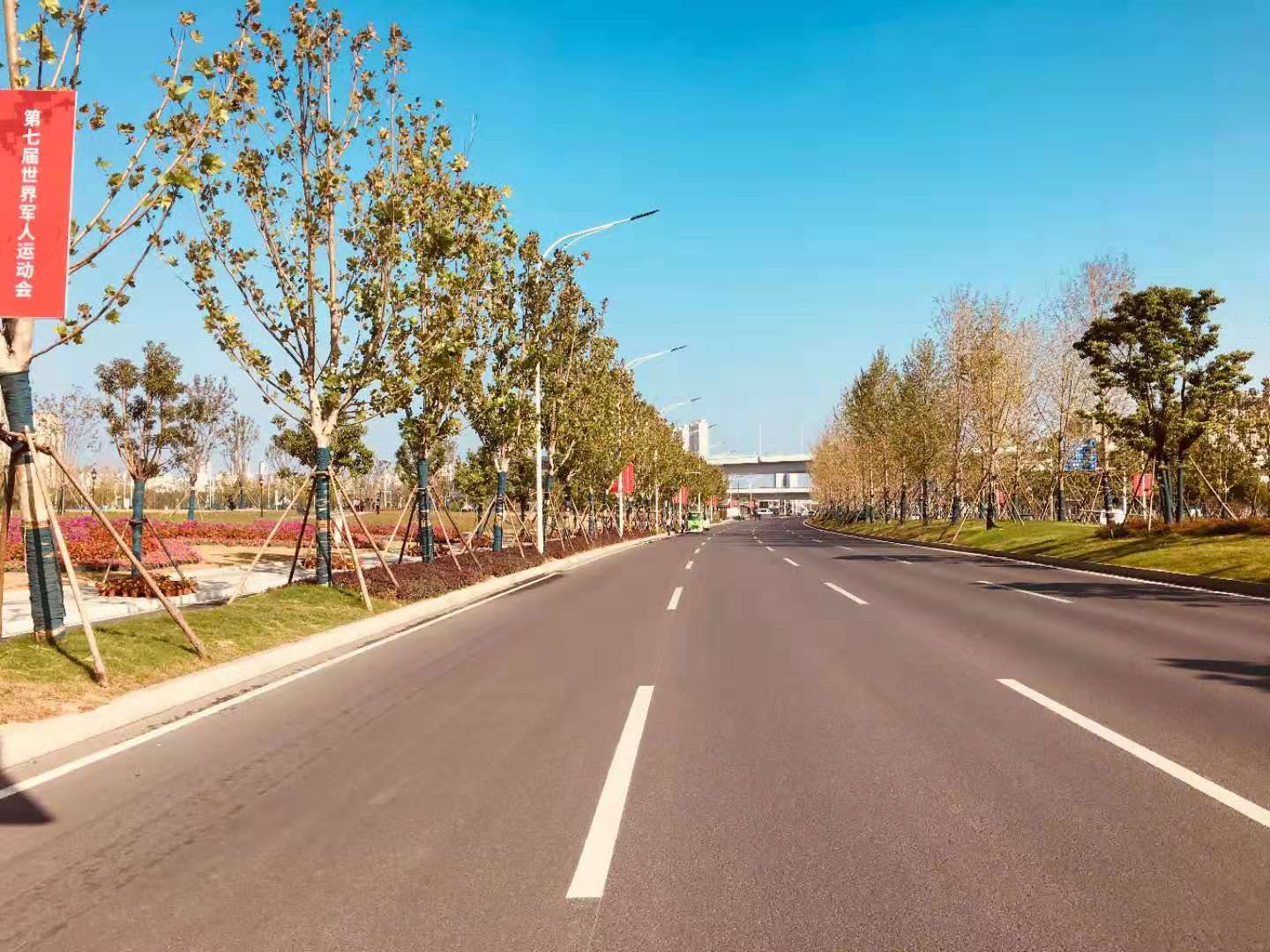 ���Ź����217��(�й���)����