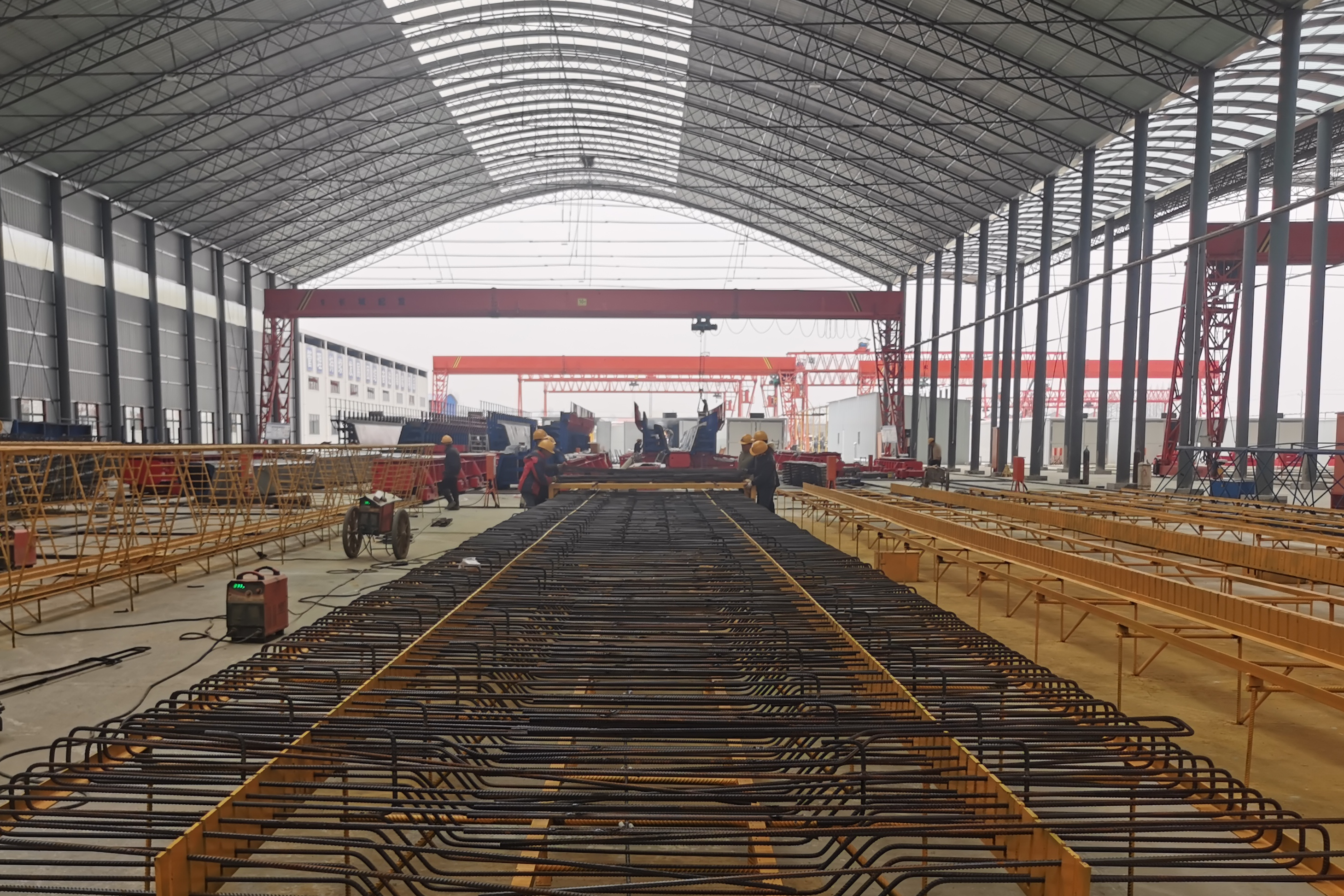 ���Ź����217��(�й���)����