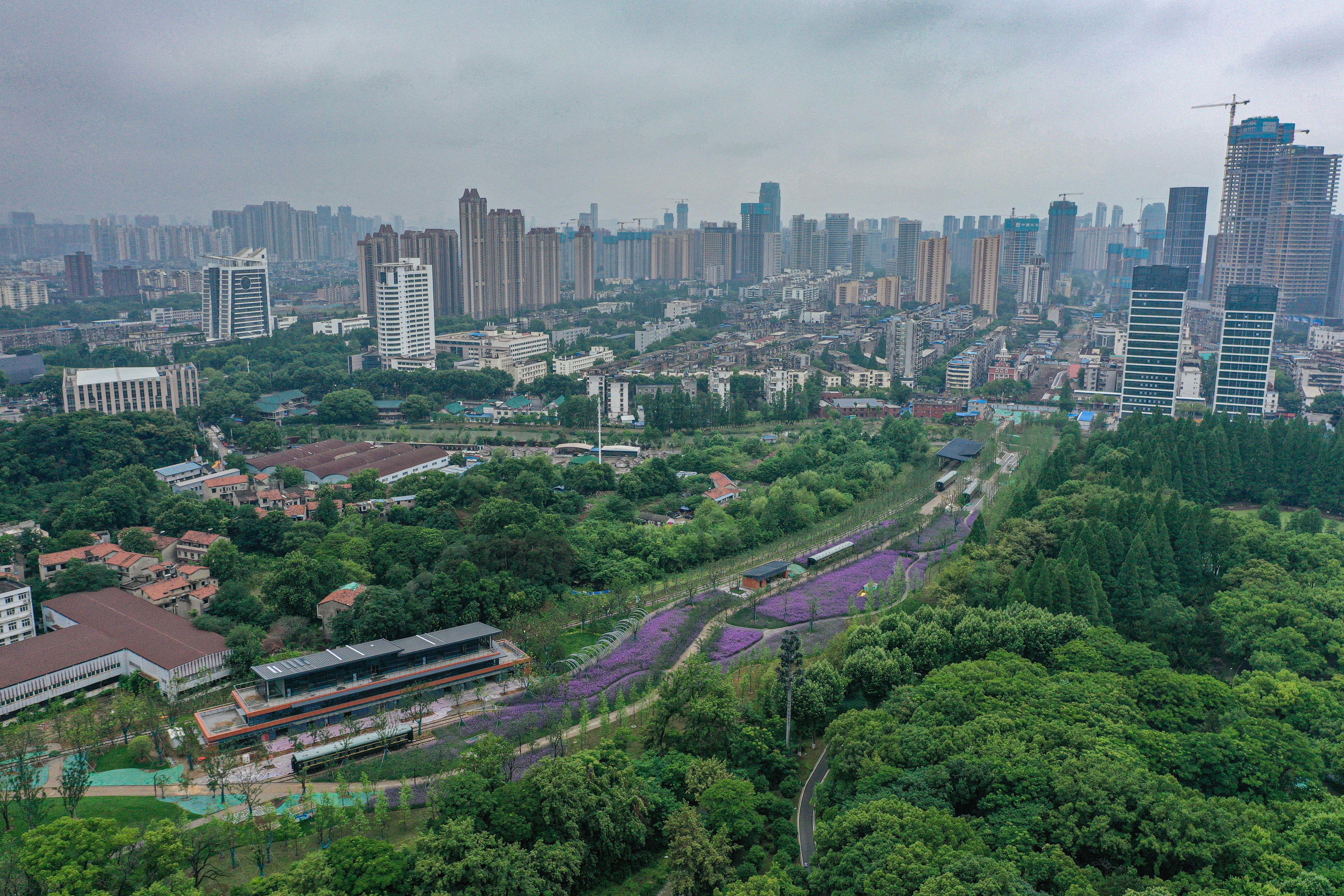 ���Ź����217��(�й���)����