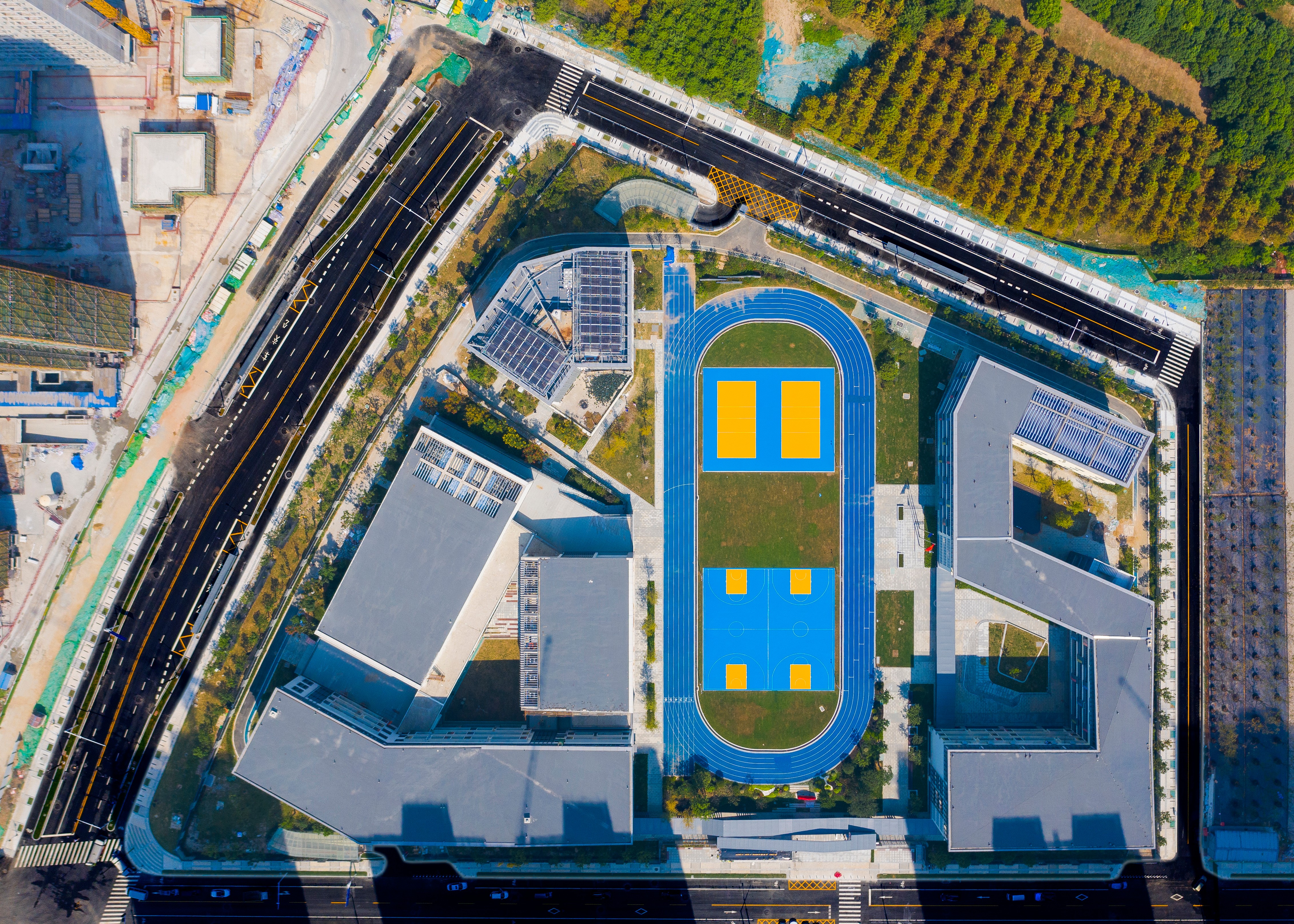 ���Ź����217��(�й���)����