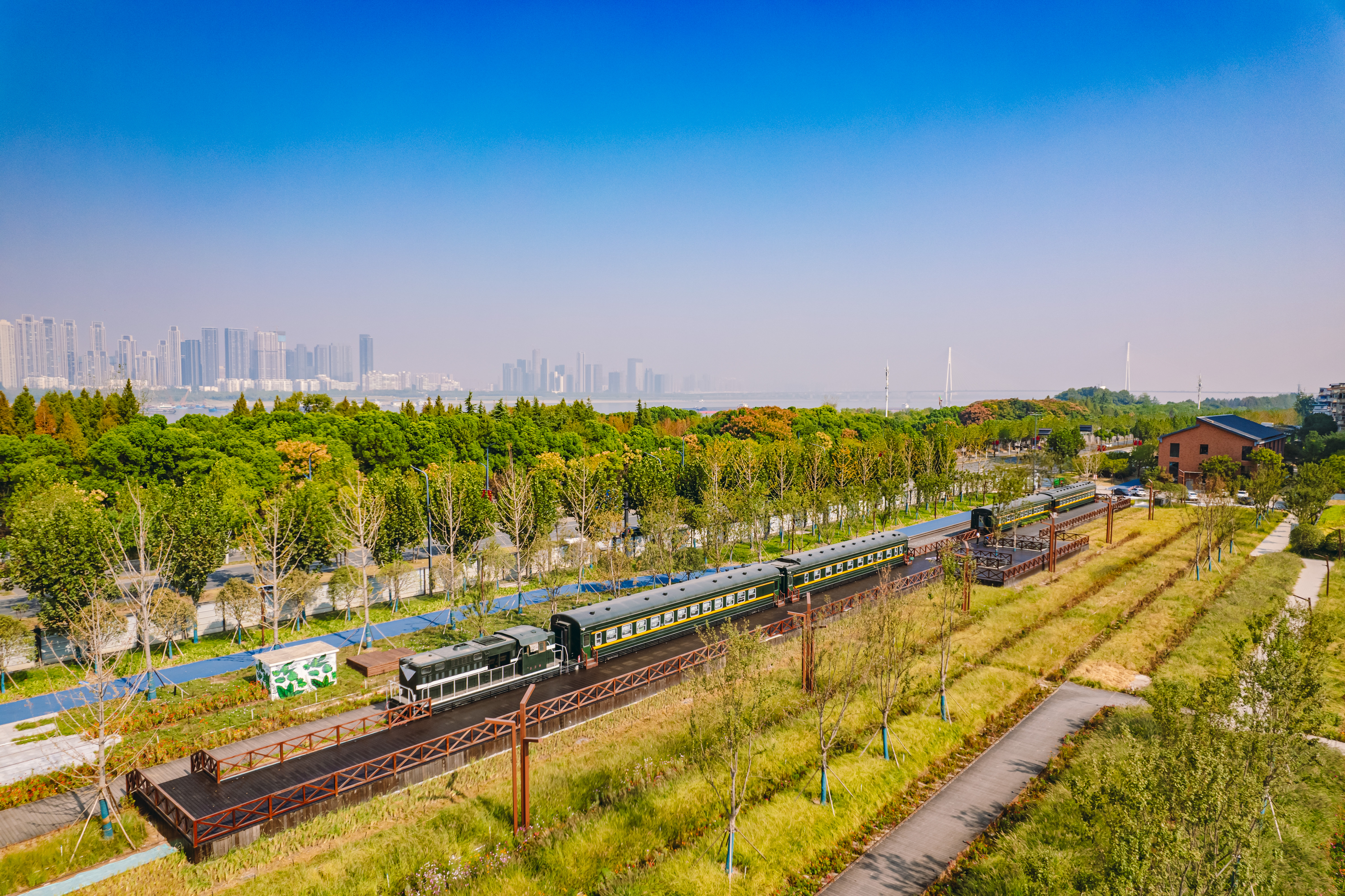 ���Ź����217��(�й���)����