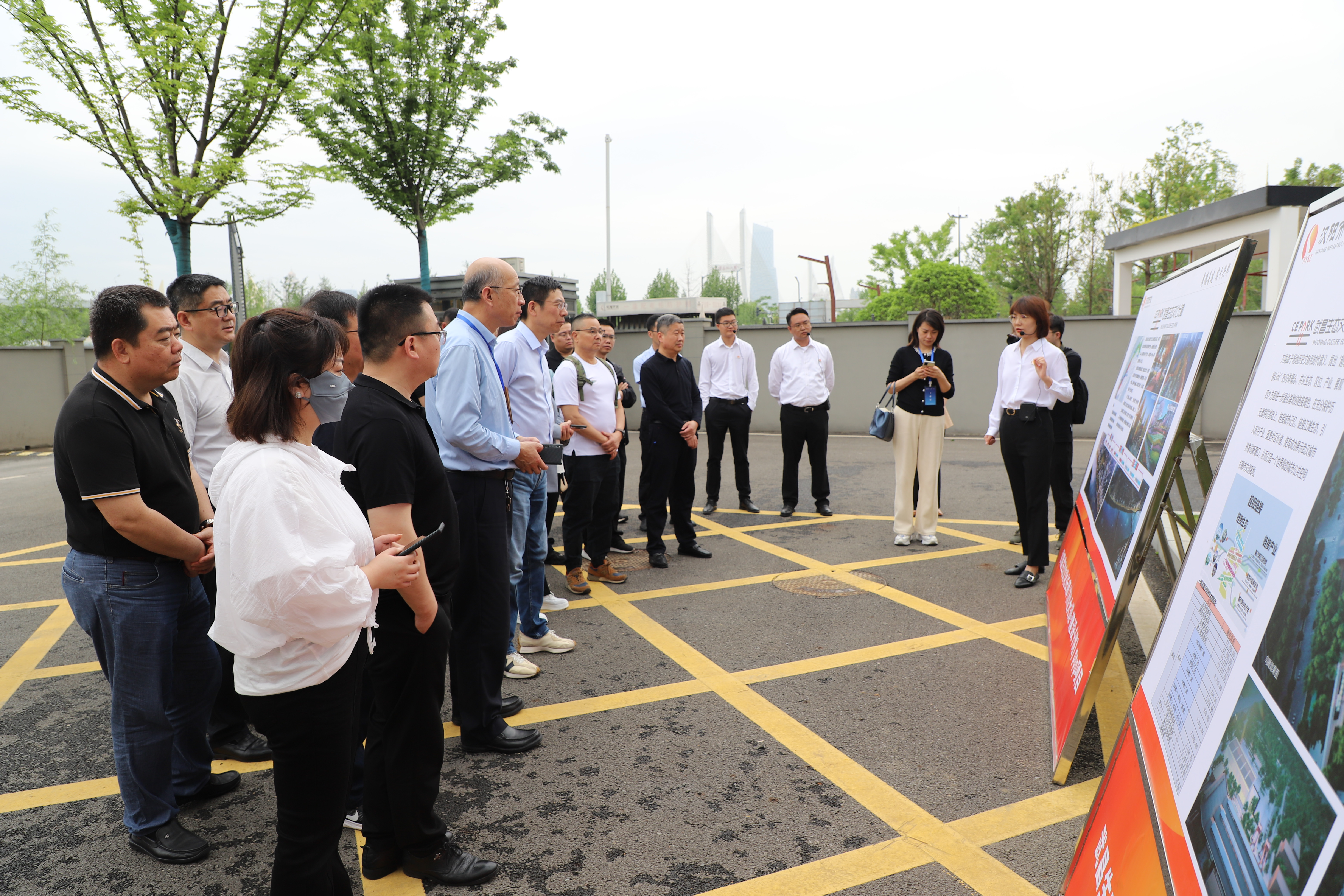 ���Ź����217��(�й���)����