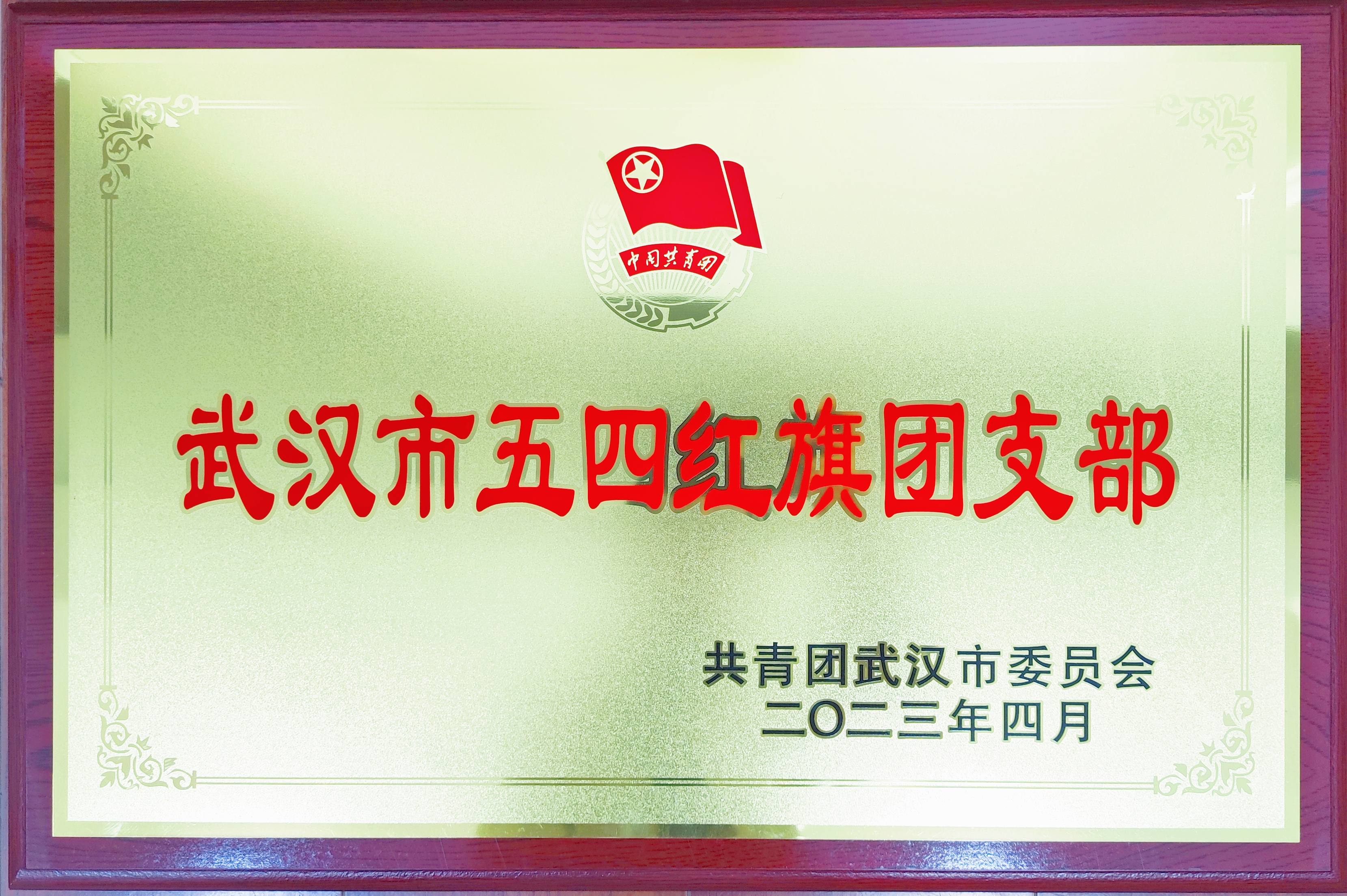 ���Ź����217��(�й���)����