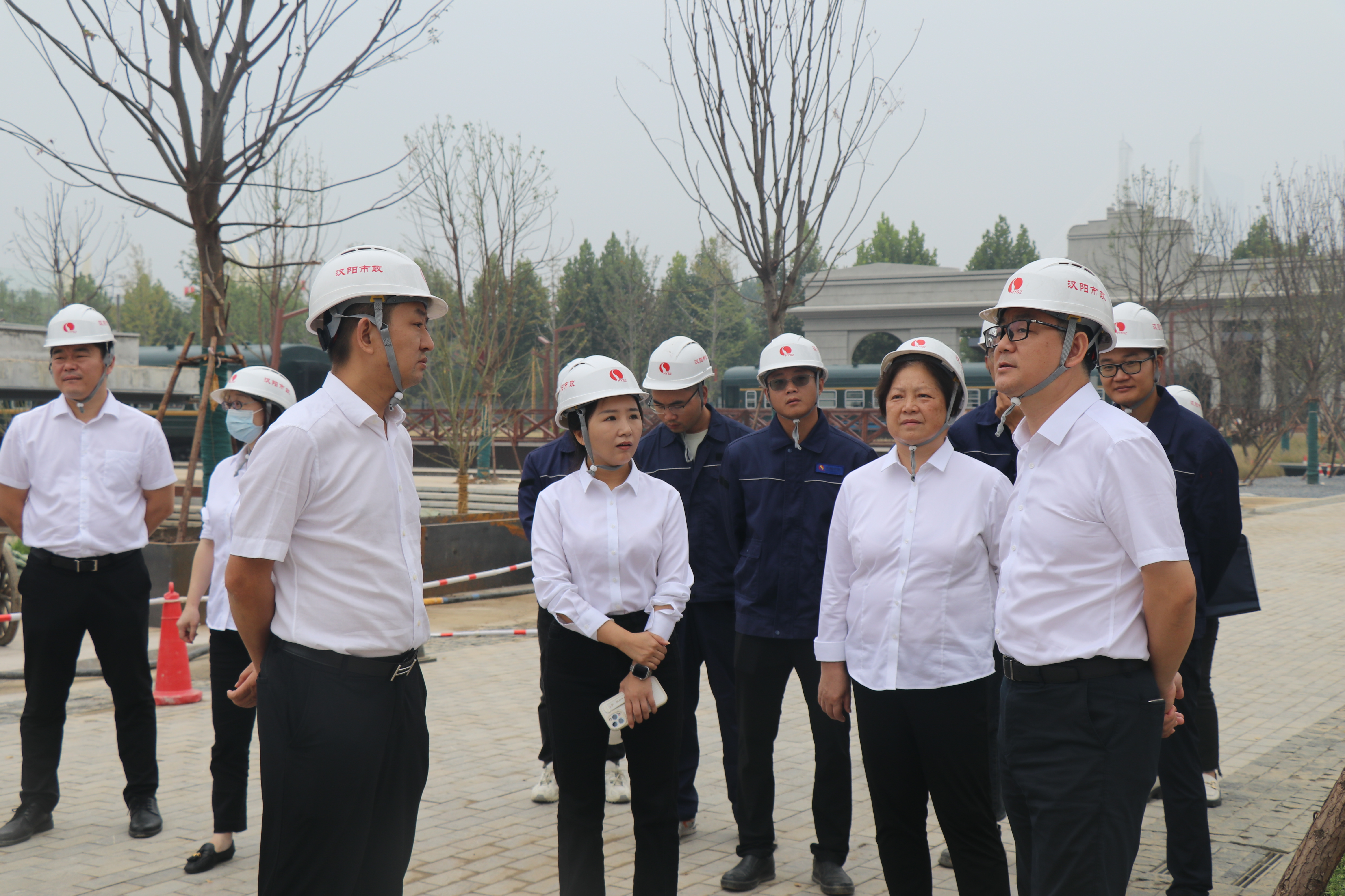 ���Ź����217��(�й���)����