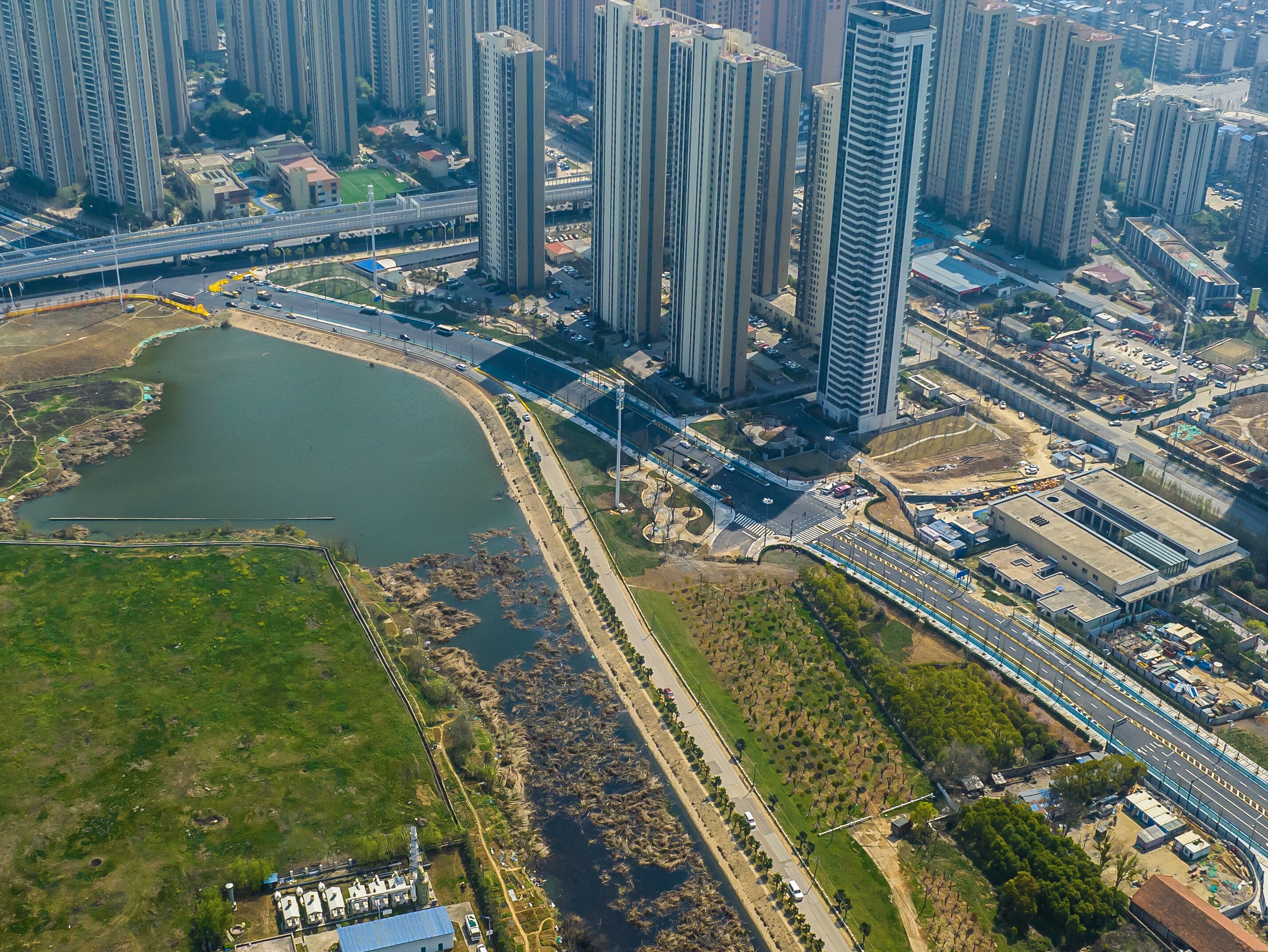 ���Ź����217��(�й���)����