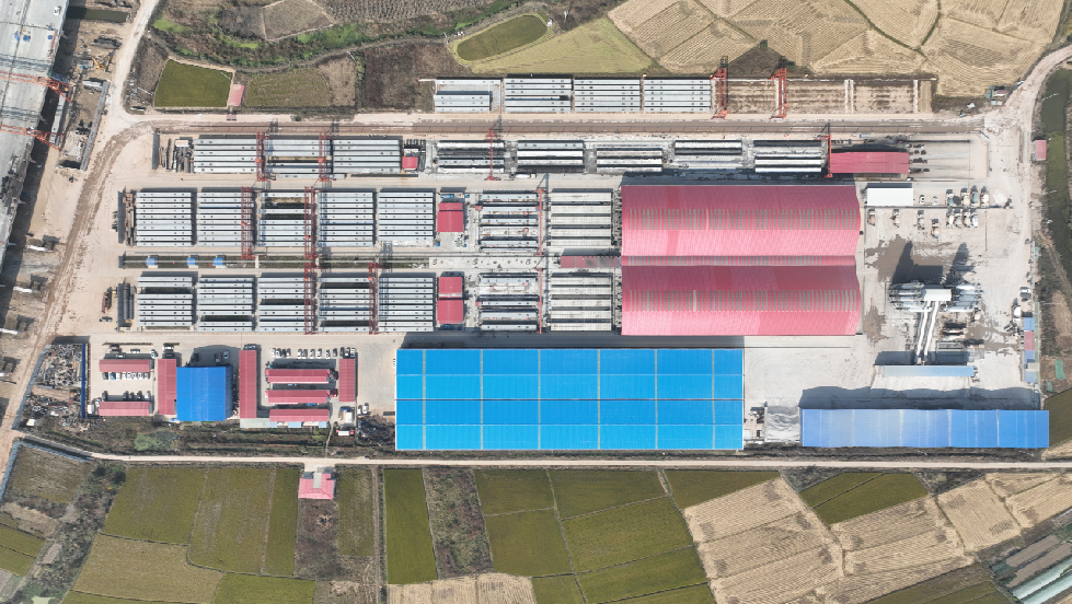 ���Ź����217��(�й���)����