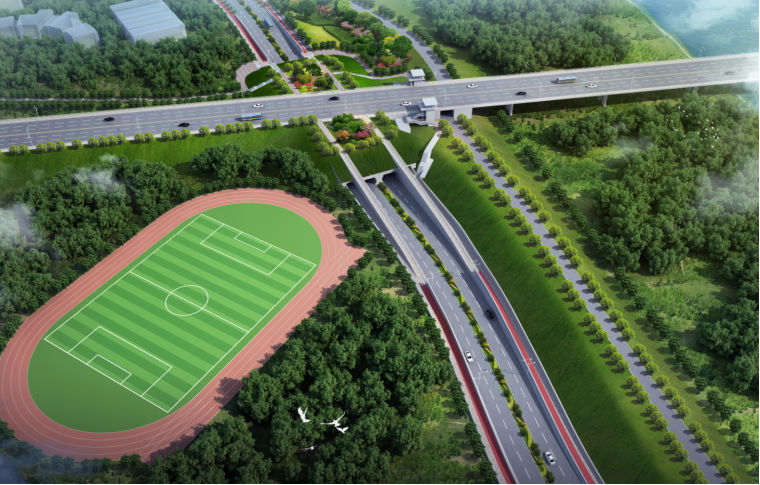 ���Ź����217��(�й���)����