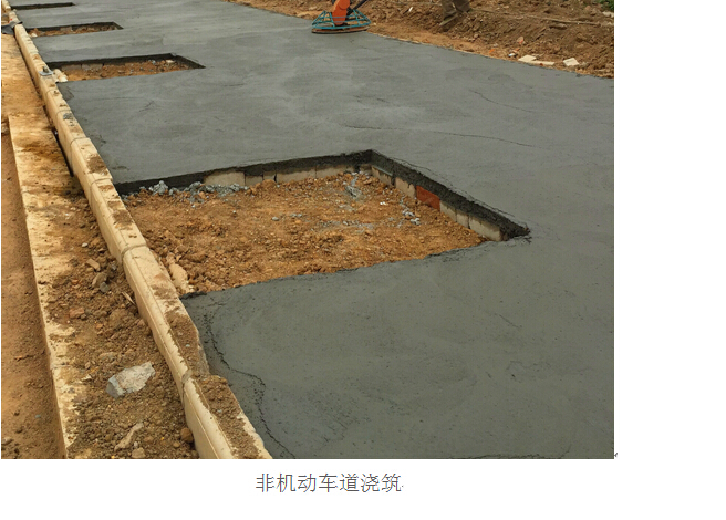 ���Ź����217��(�й���)����