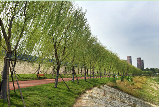 ���Ź����217��(�й���)����