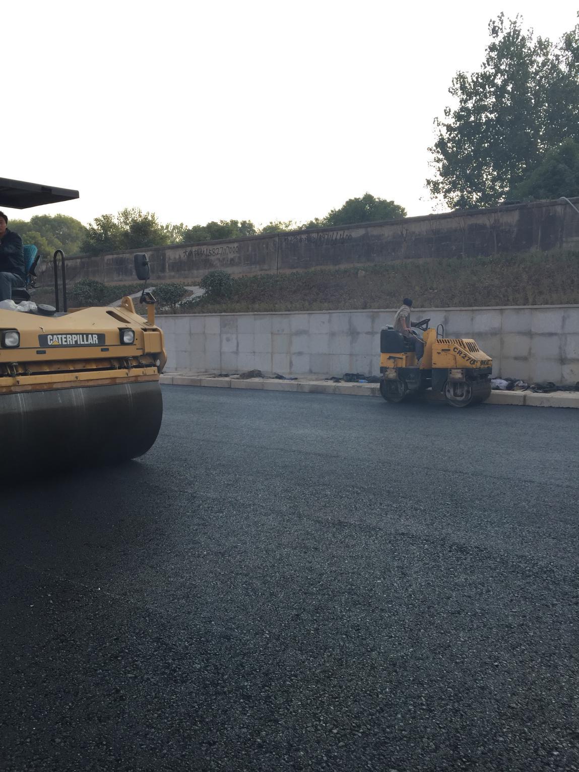 ���Ź����217��(�й���)����