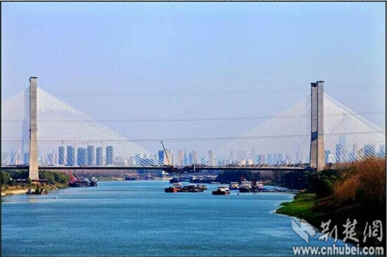 ���Ź����217��(�й���)����