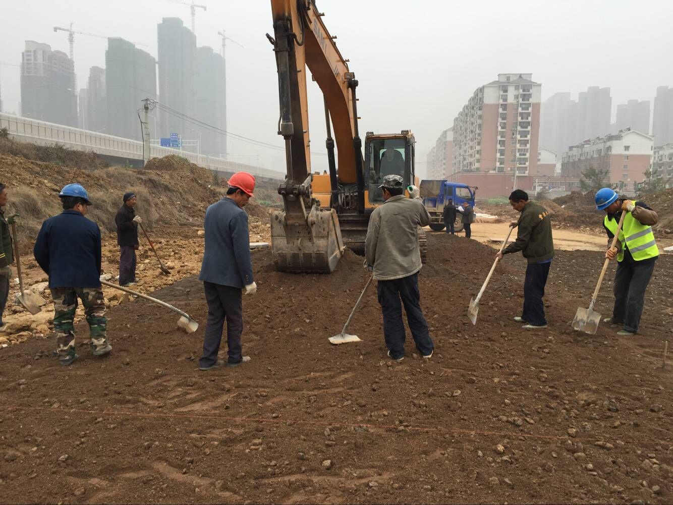 ���Ź����217��(�й���)����