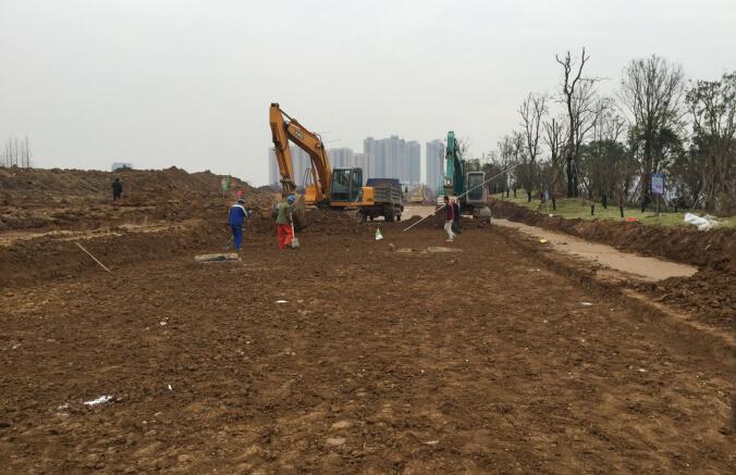 ���Ź����217��(�й���)����