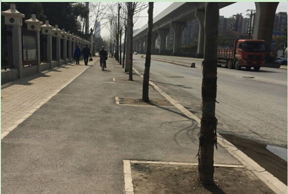 ���Ź����217��(�й���)����