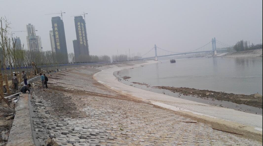 ���Ź����217��(�й���)����