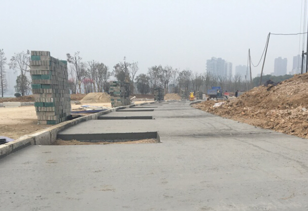 ���Ź����217��(�й���)����