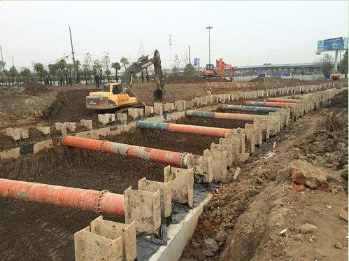 ���Ź����217��(�й���)����