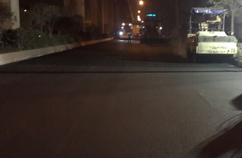 ���Ź����217��(�й���)����