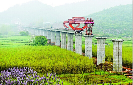 ���Ź����217��(�й���)����