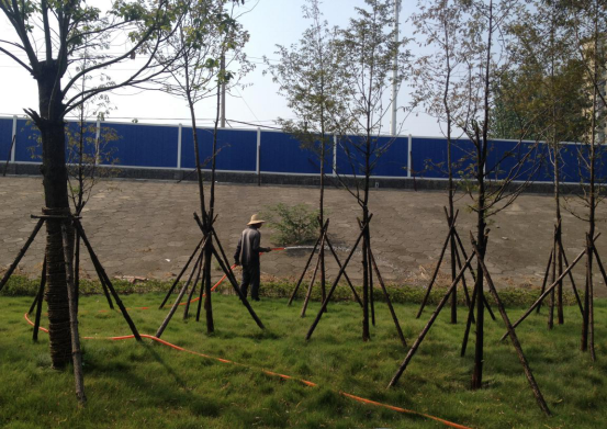 ���Ź����217��(�й���)����