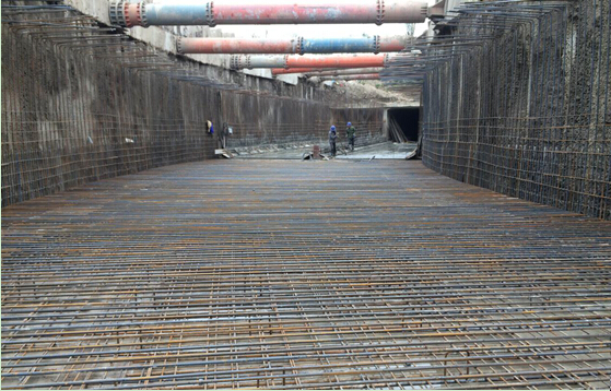 ���Ź����217��(�й���)����