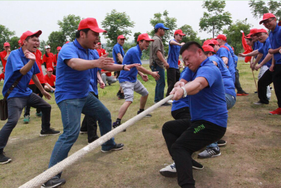 ���Ź����217��(�й���)����