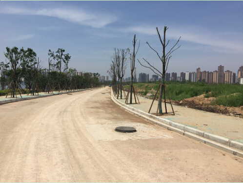 ���Ź����217��(�й���)����