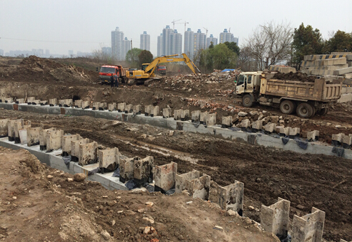 ���Ź����217��(�й���)����