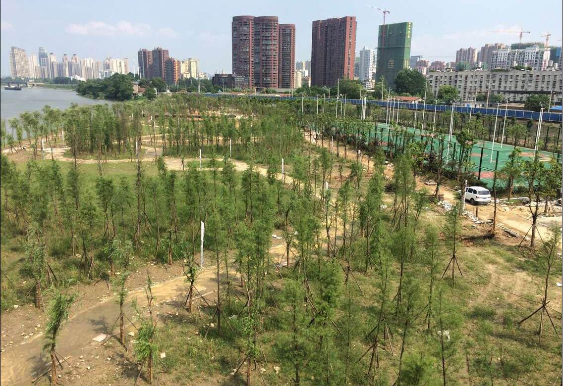 ���Ź����217��(�й���)����