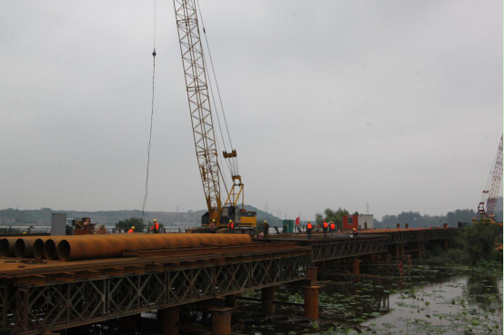 ���Ź����217��(�й���)����