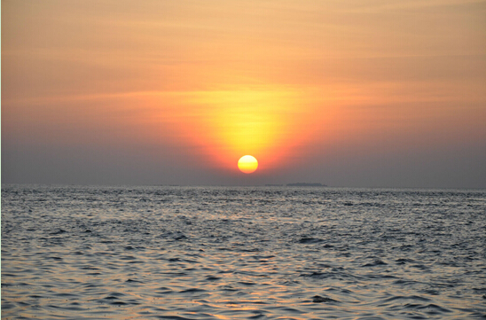 ���Ź����217��(�й���)����