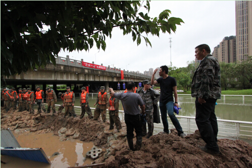 ���Ź����217��(�й���)����