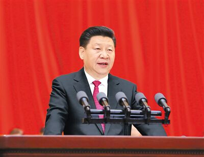 ���Ź����217��(�й���)����