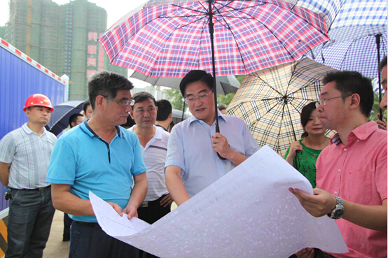 ���Ź����217��(�й���)����