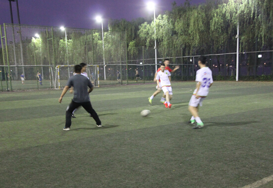 ���Ź����217��(�й���)����