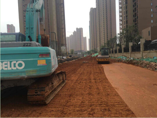 ���Ź����217��(�й���)����