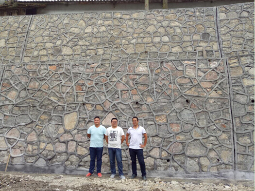 ���Ź����217��(�й���)����