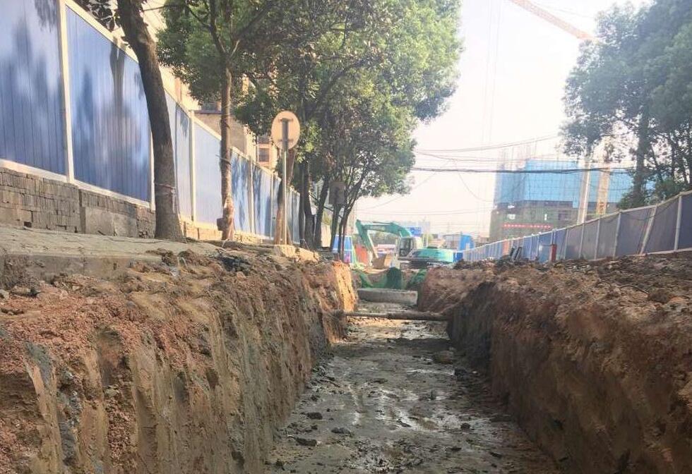 ���Ź����217��(�й���)����